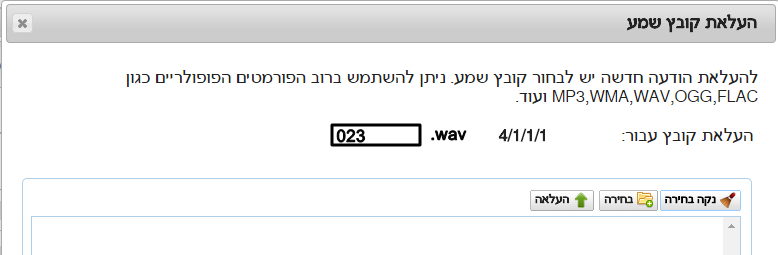 העלאת קובץ - בחירת שם.png